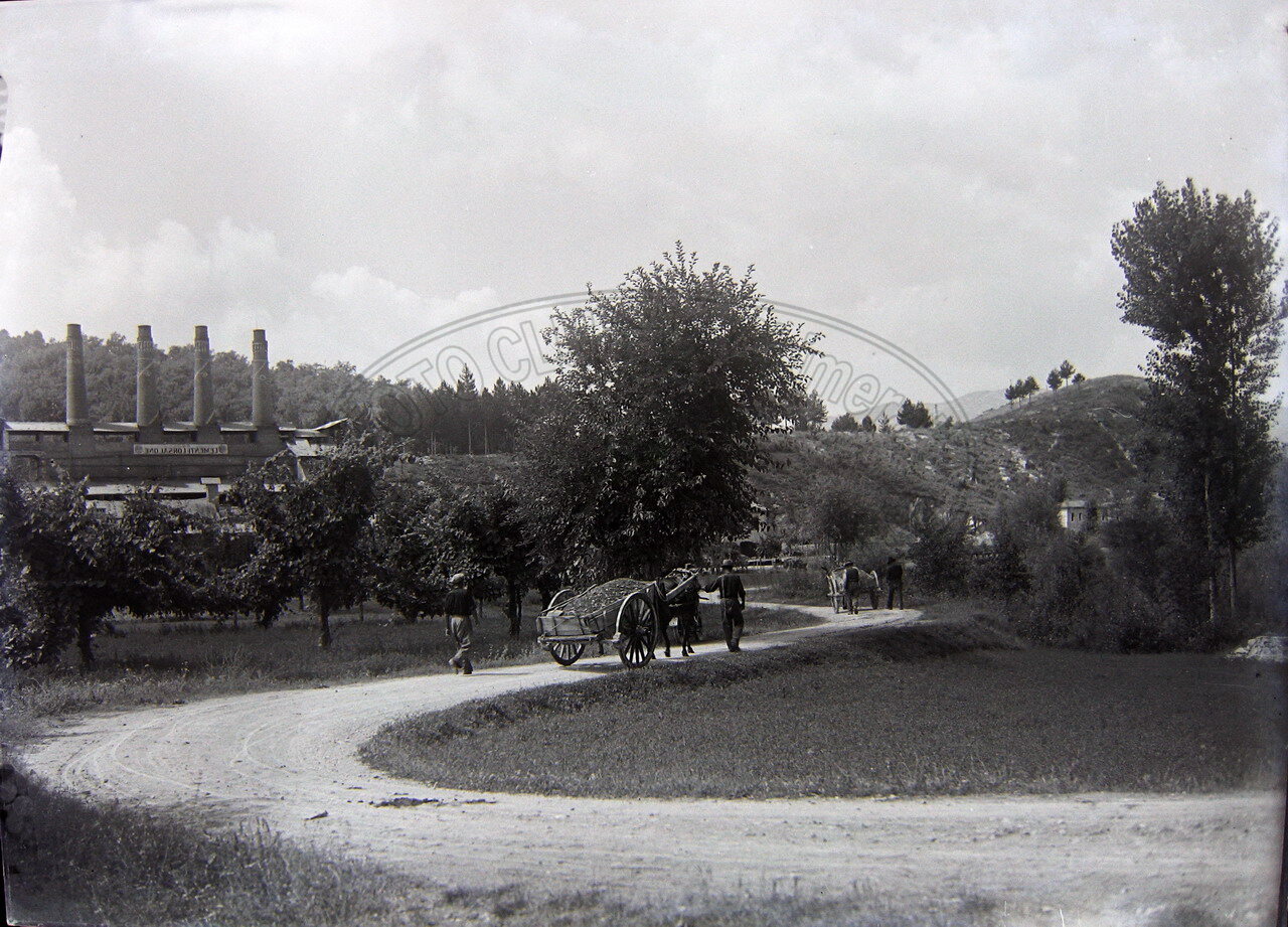 Corsalone