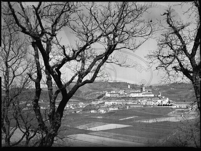 Panorama tra gli alberi