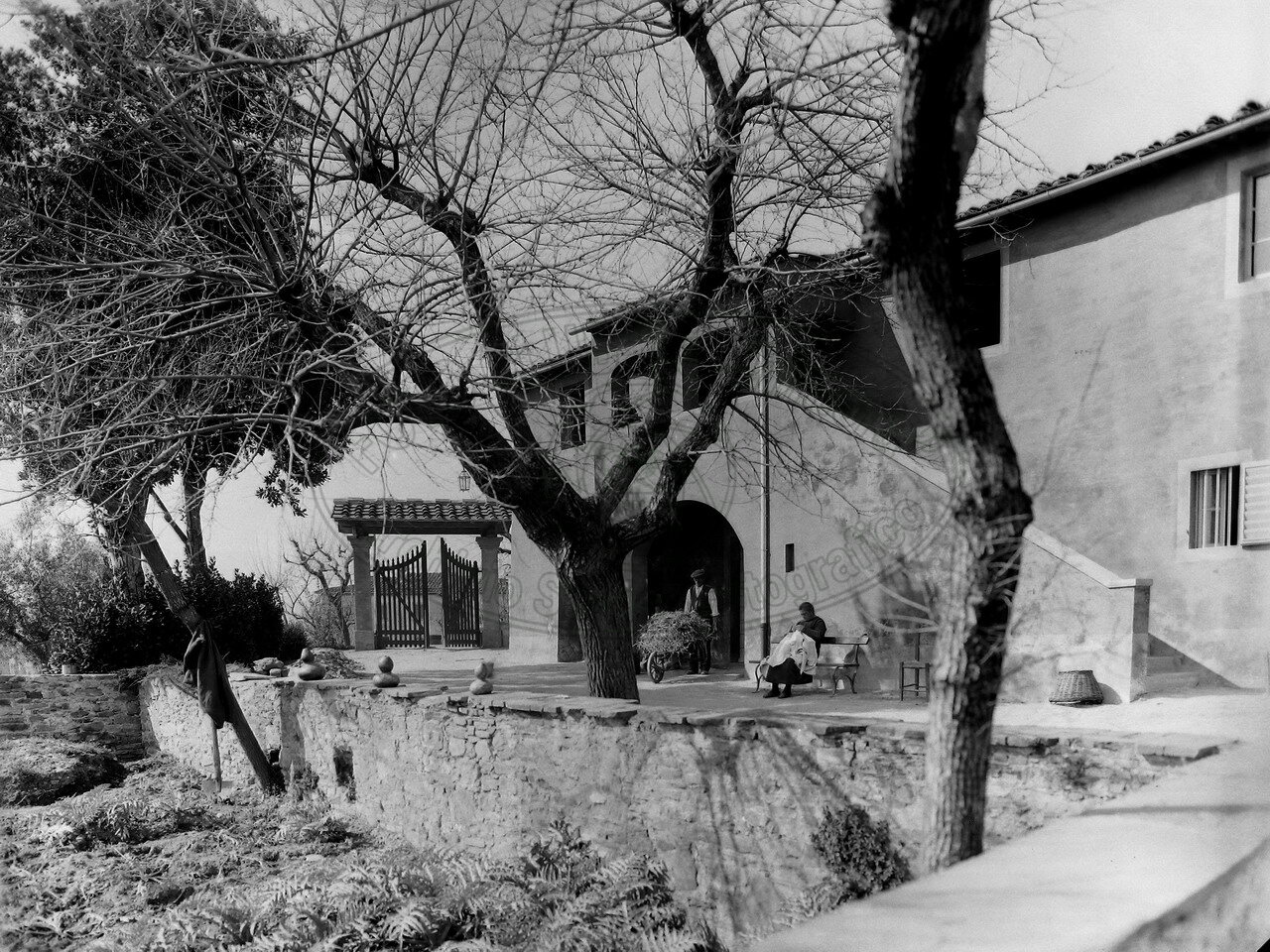 Collina del Pionta