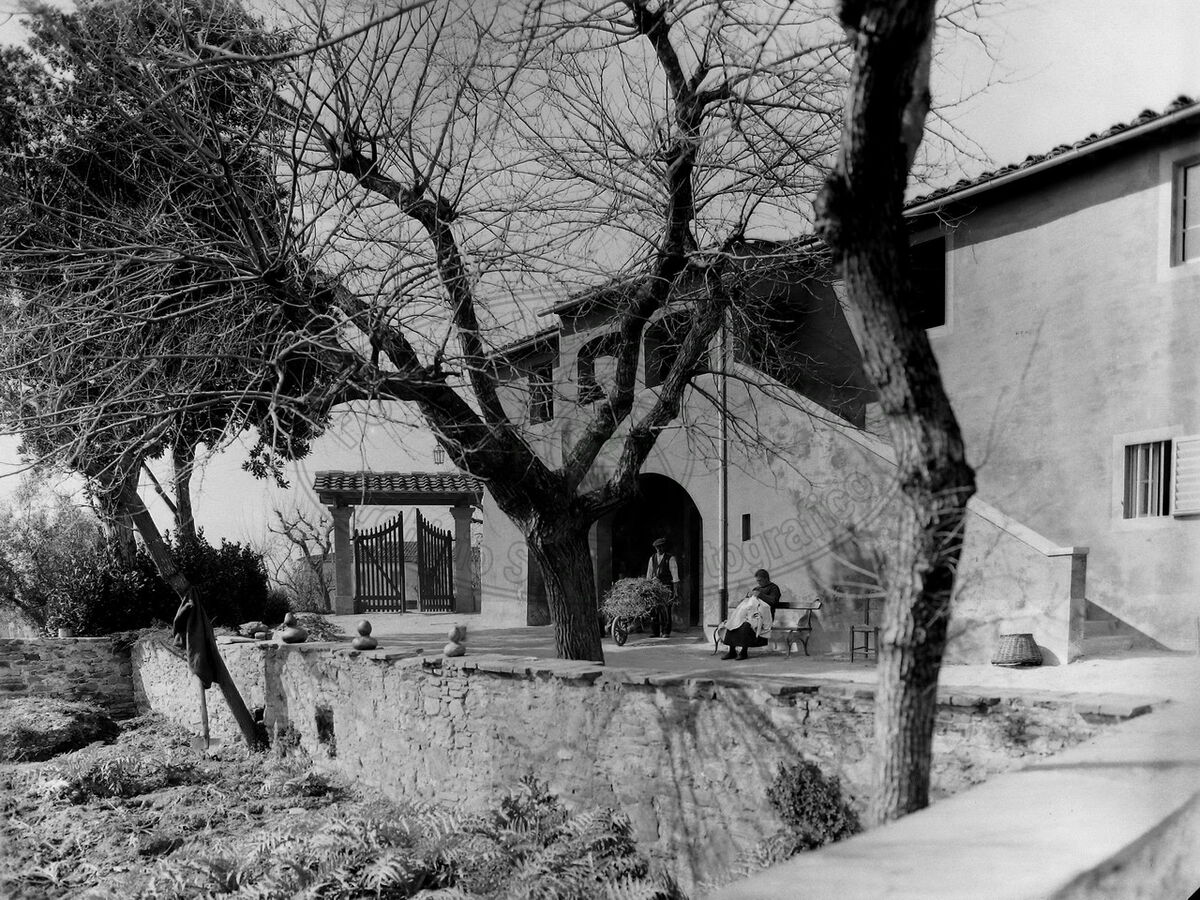 Collina del Pionta