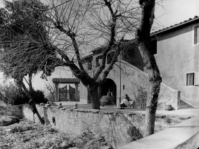 Collina del Pionta