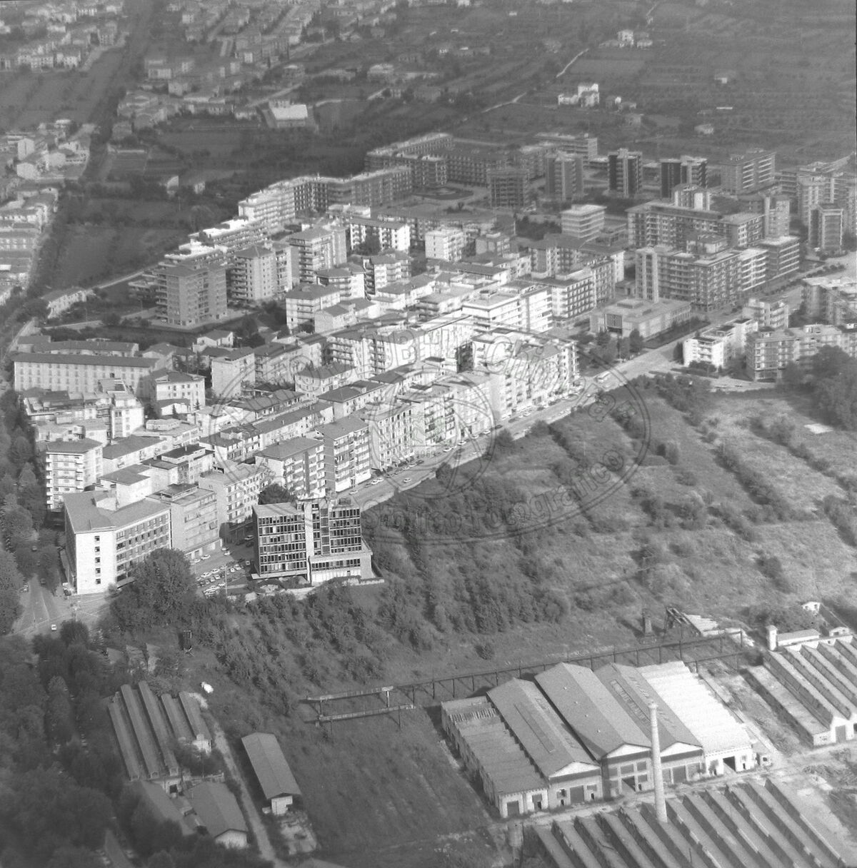 Viale Giotto