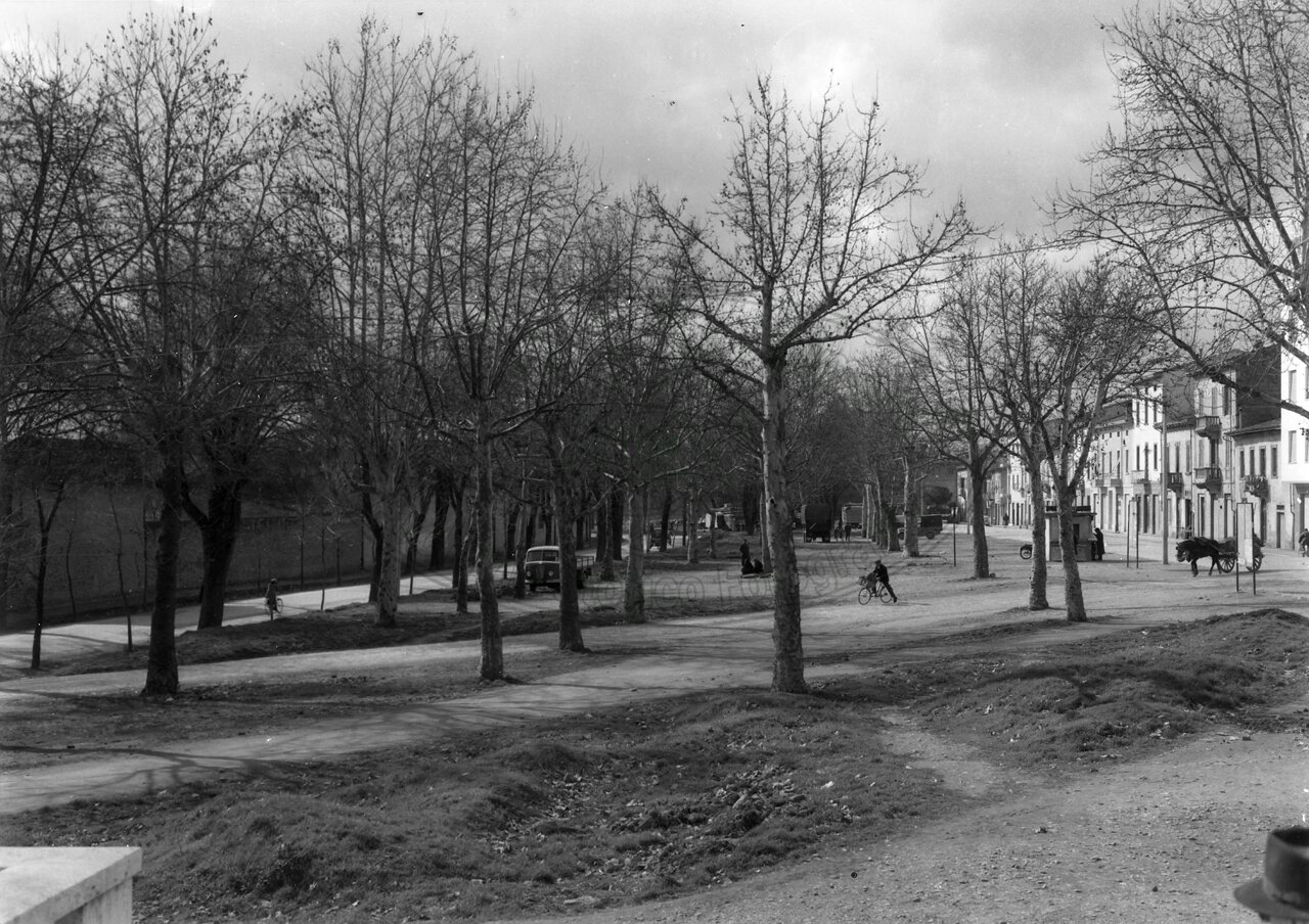 Viale Luca Signorelli