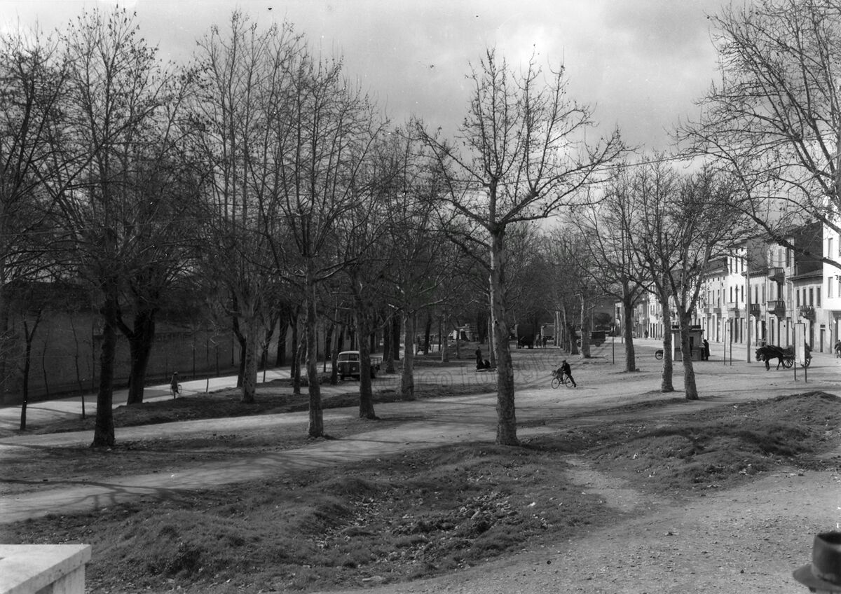 Viale Luca Signorelli