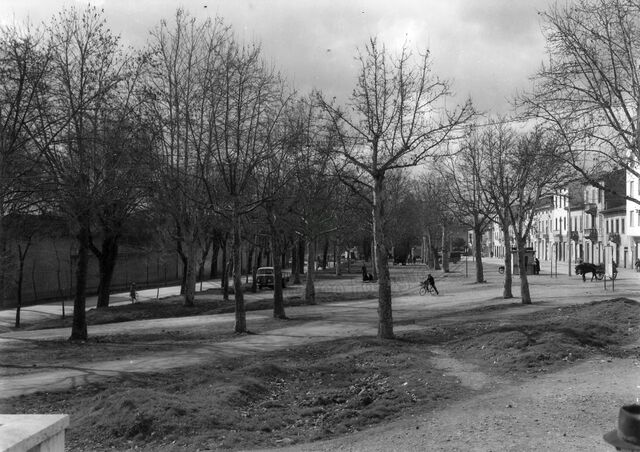 Viale Luca Signorelli