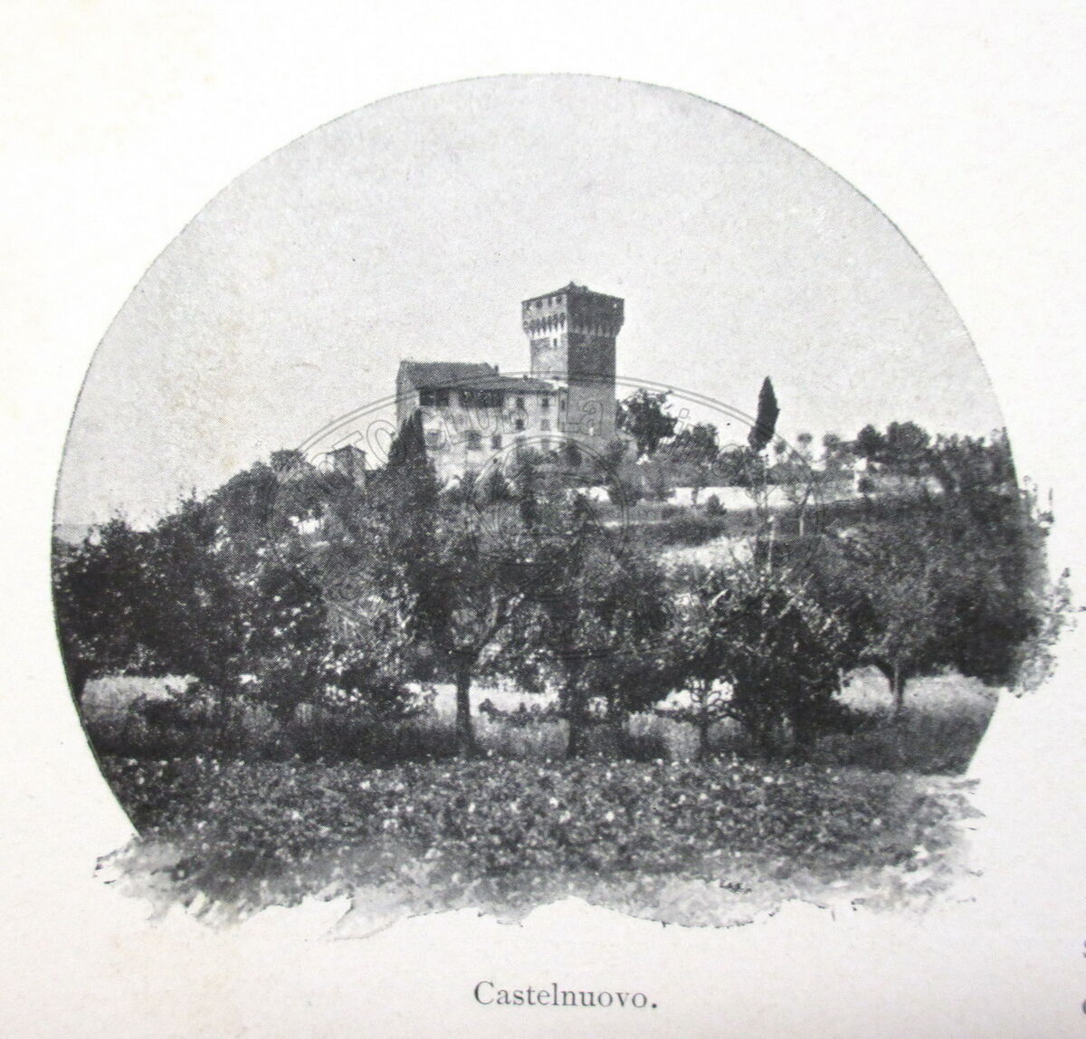 Castelnuovo