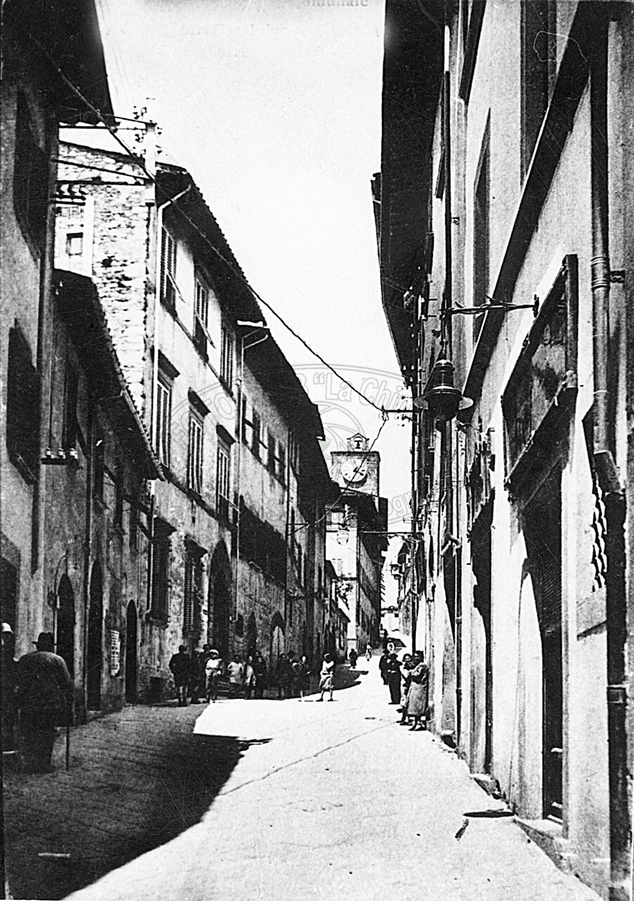 Via Cesalpino