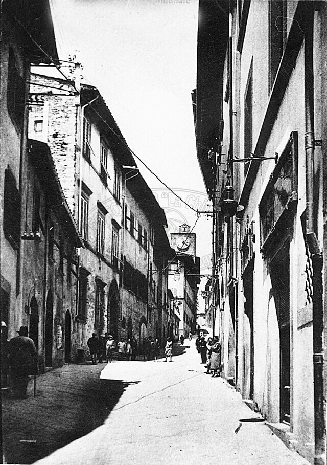 Via Cesalpino