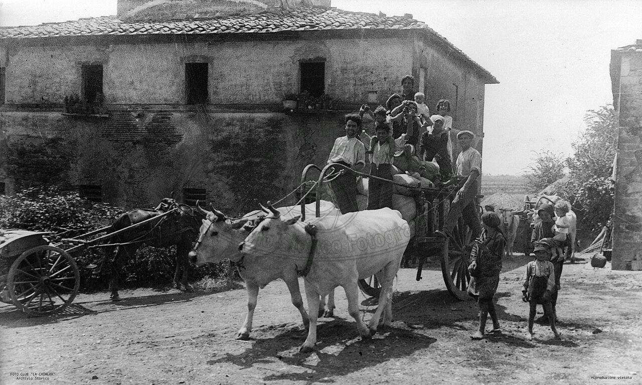 Trasporto del grano trebbiato