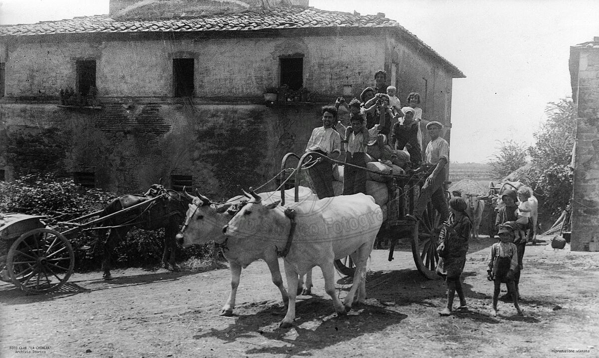 Trasporto del grano trebbiato