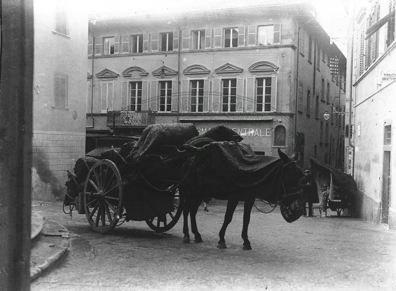Carbonaio in Piazza S. Michele