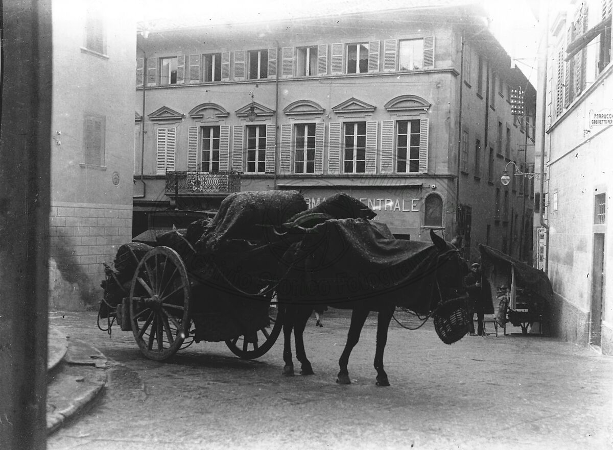 Carbonaio in Piazza S. Michele
