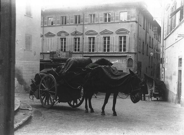 Carbonaio in Piazza S. Michele