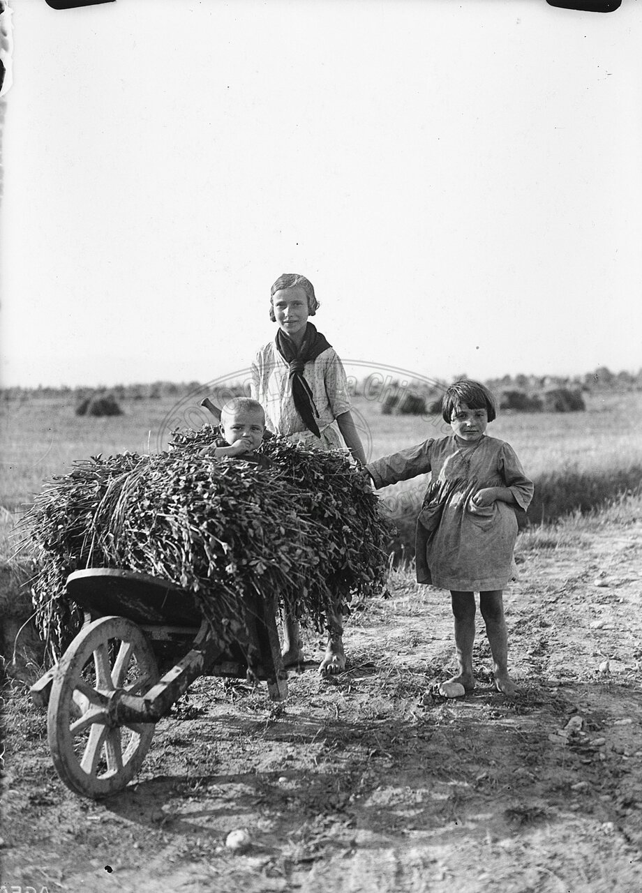 Contadina con carriola