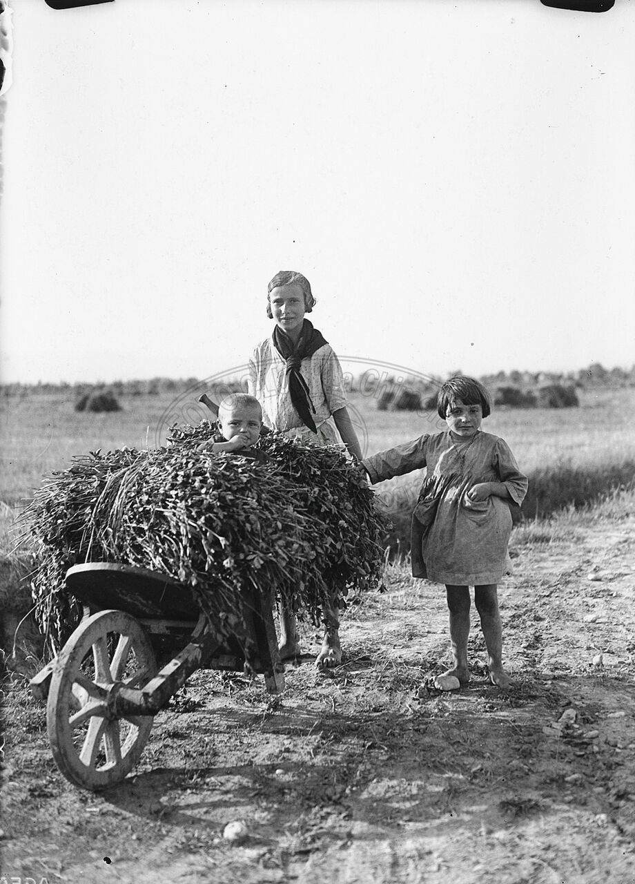 Contadina con carriola