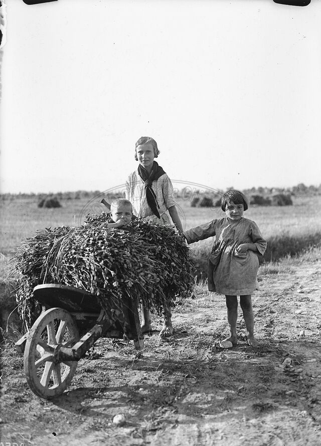 Contadina con carriola