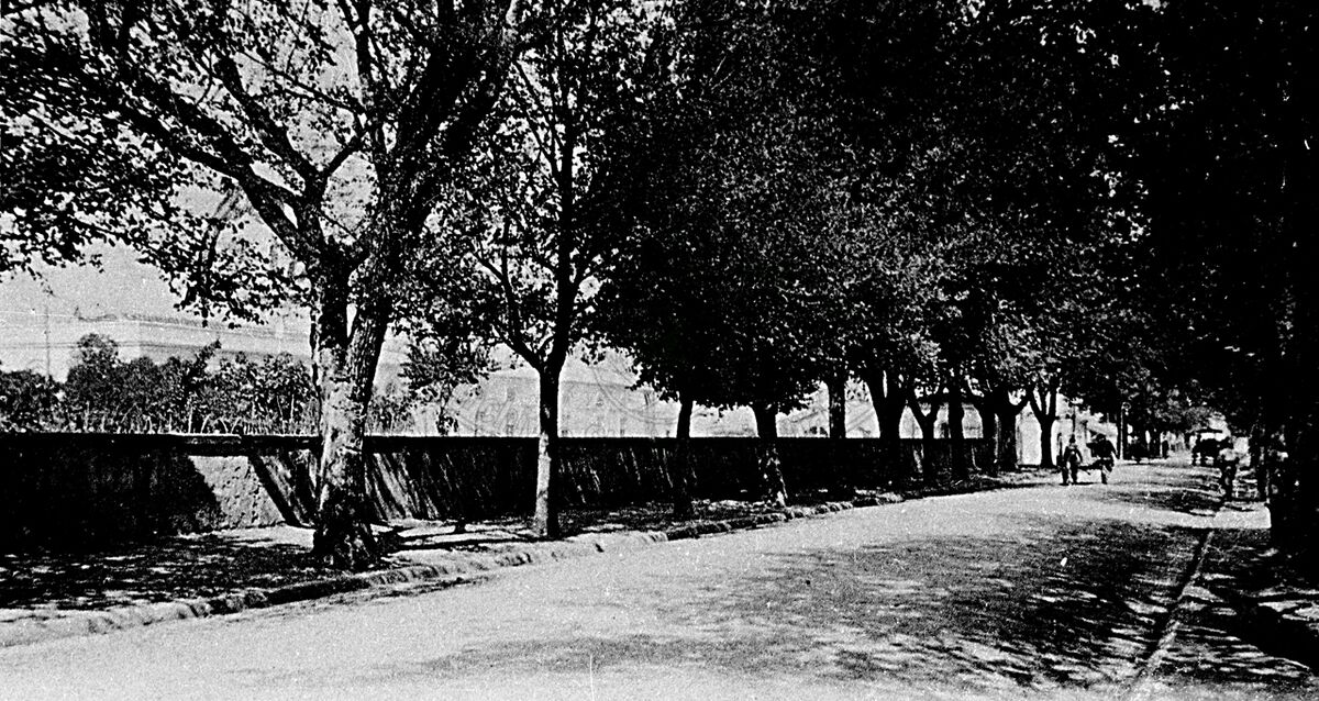 Viale Felice Cavallotti