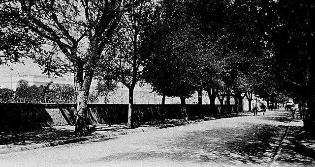 Viale Felice Cavallotti
