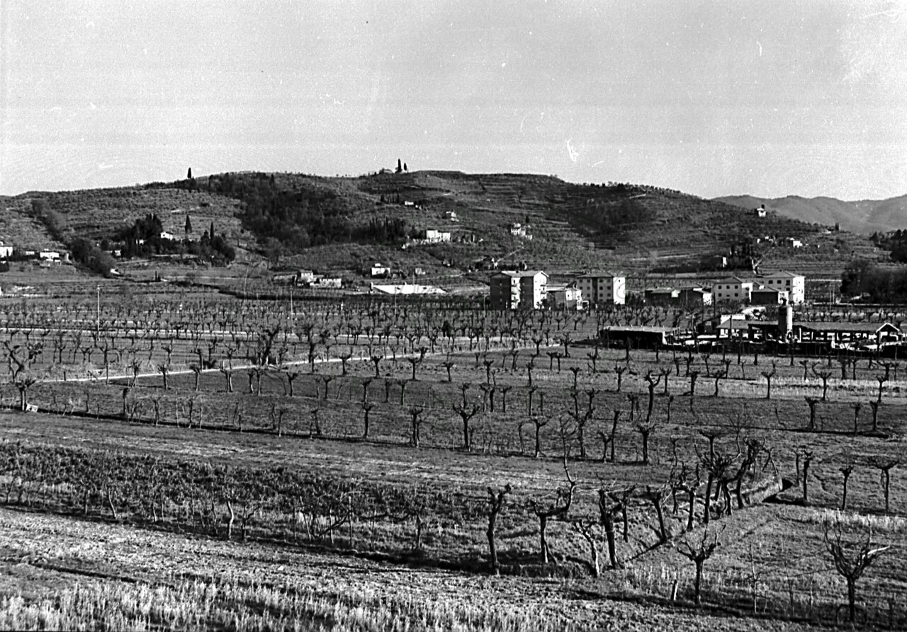 Panorama della collina di S. Cornelio