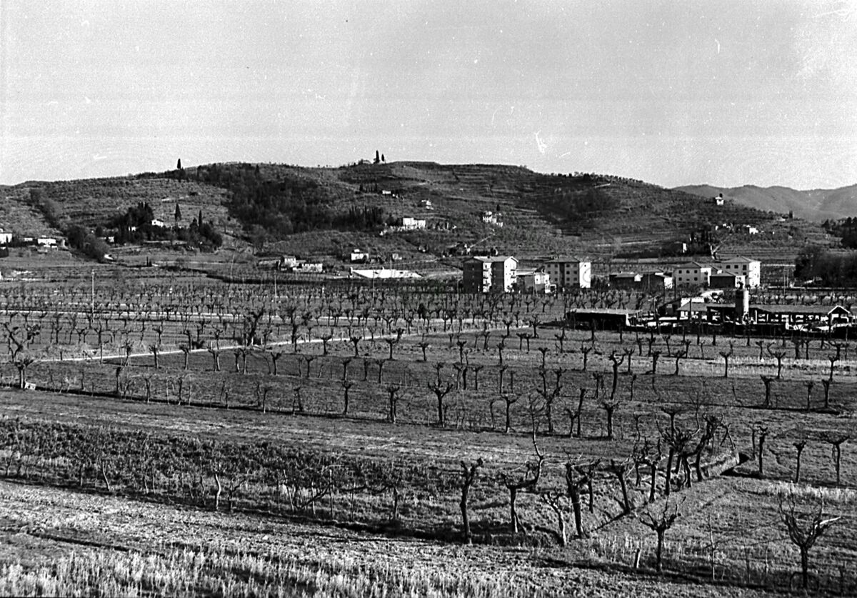 Panorama della collina di S. Cornelio