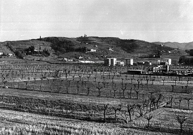 Panorama della collina di S. Cornelio