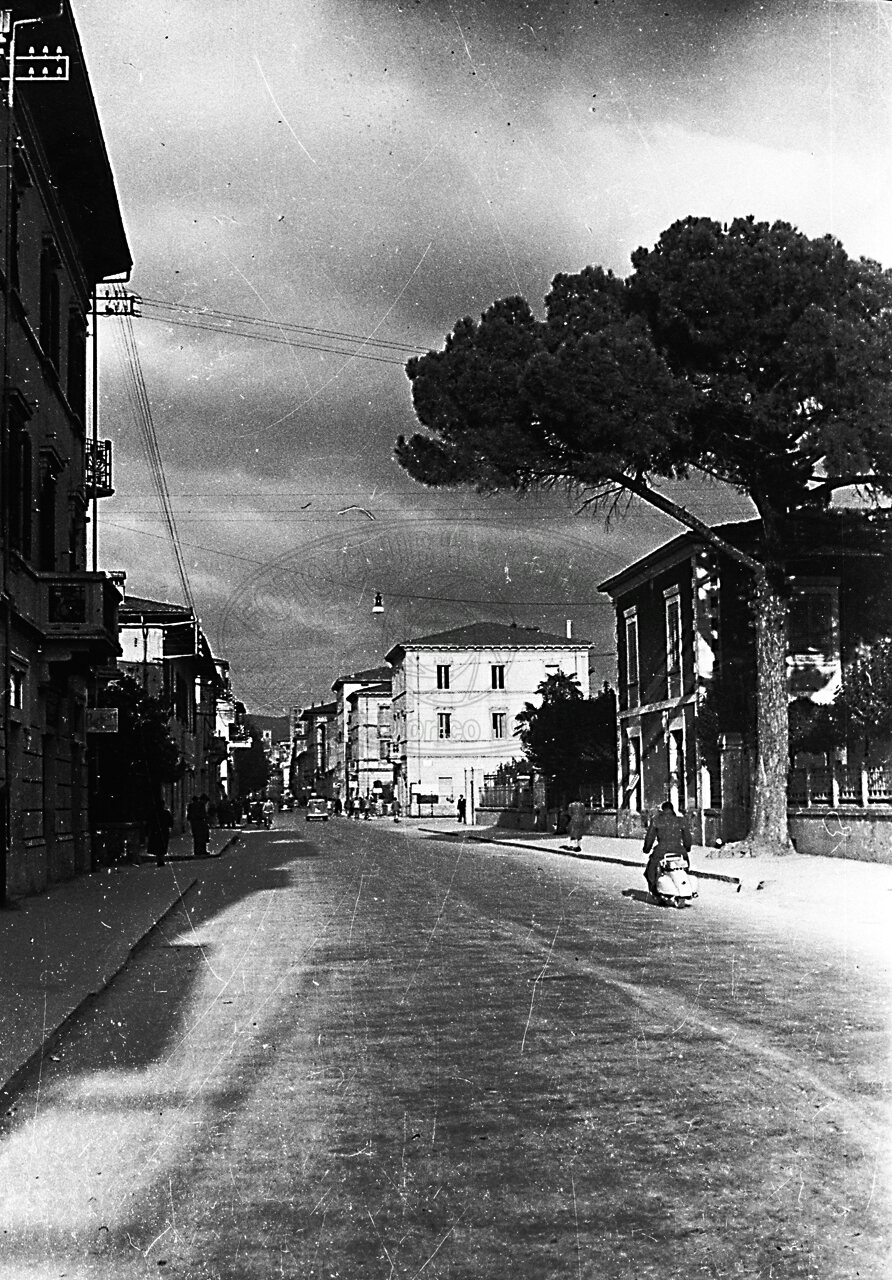 Il “pino”