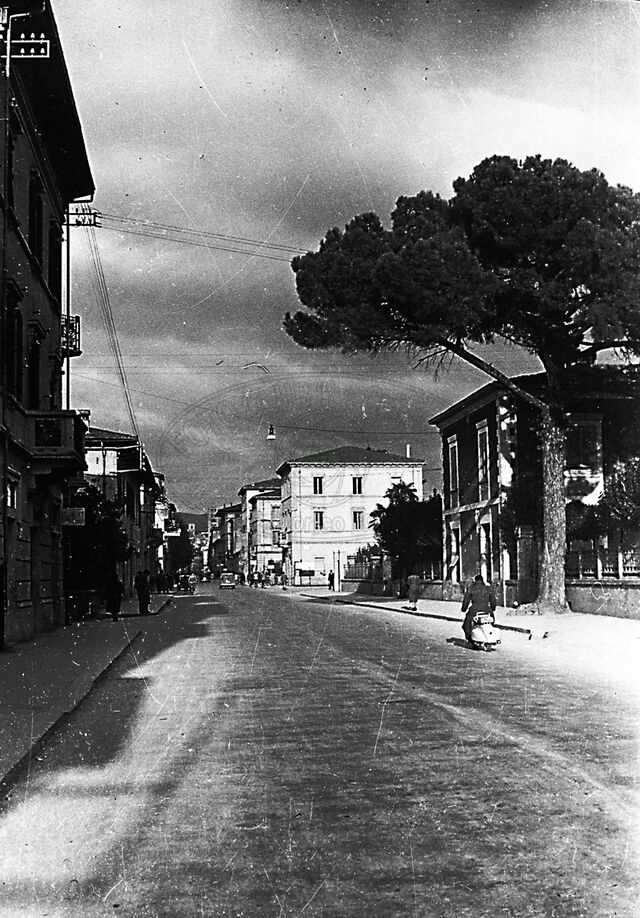Il “pino”