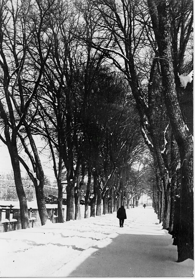 Via Luca Signorelli