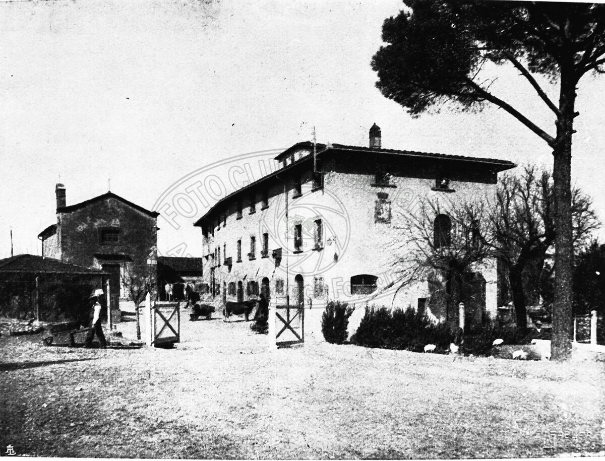 Collina del Pionta
