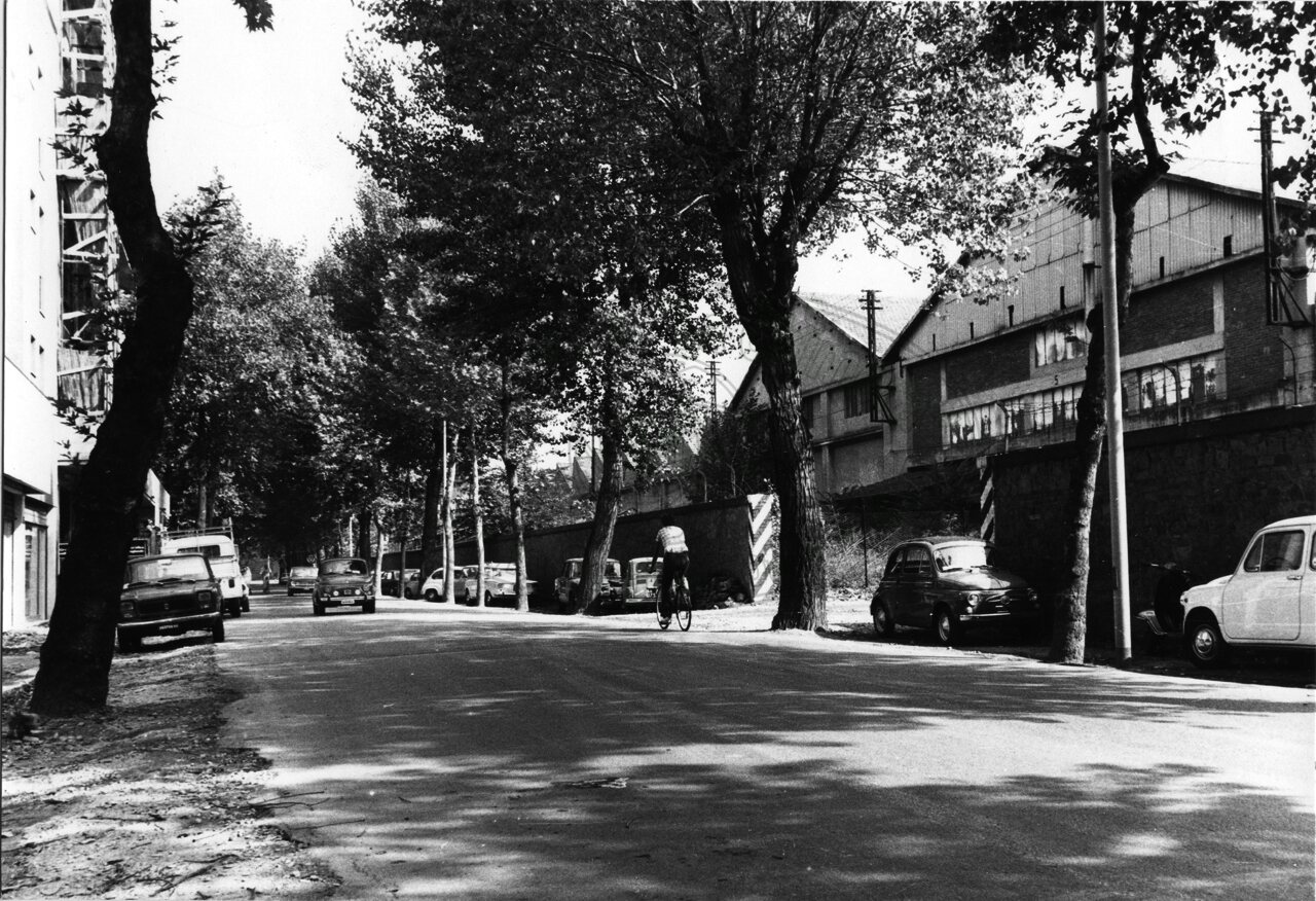 Viale Mecenate