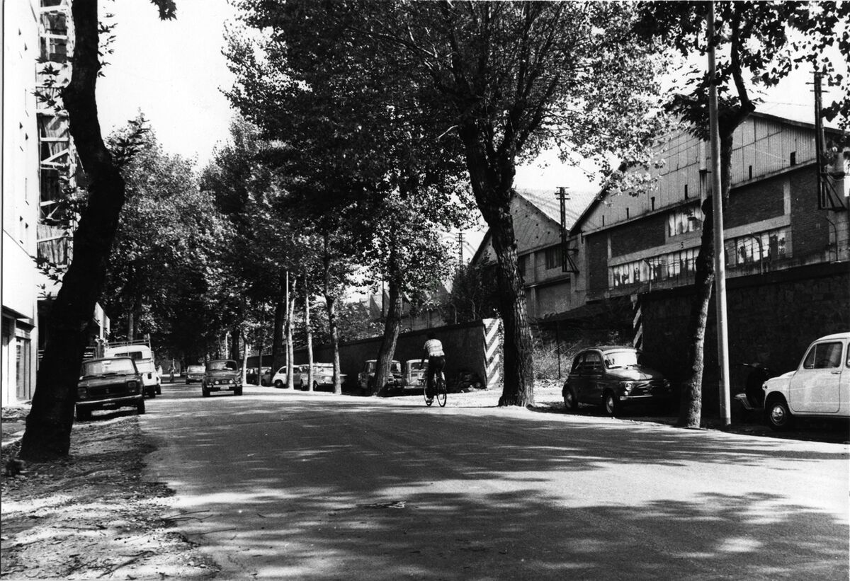 Viale Mecenate