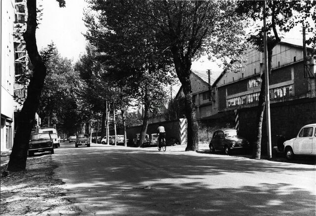 Viale Mecenate