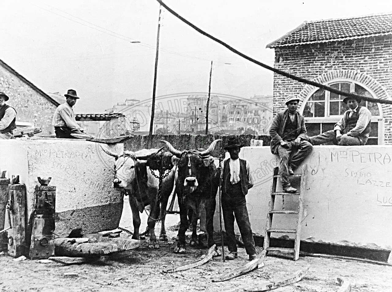 Marmo per il monumento a Petrarca al Prato