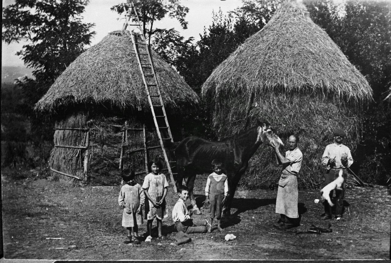 Nell’aia