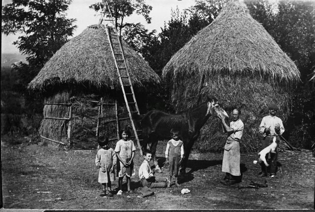 Nell’aia