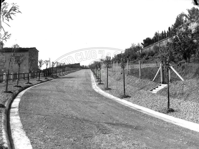 Il nuovo Viale del Re (poi Bruno Buozzi)