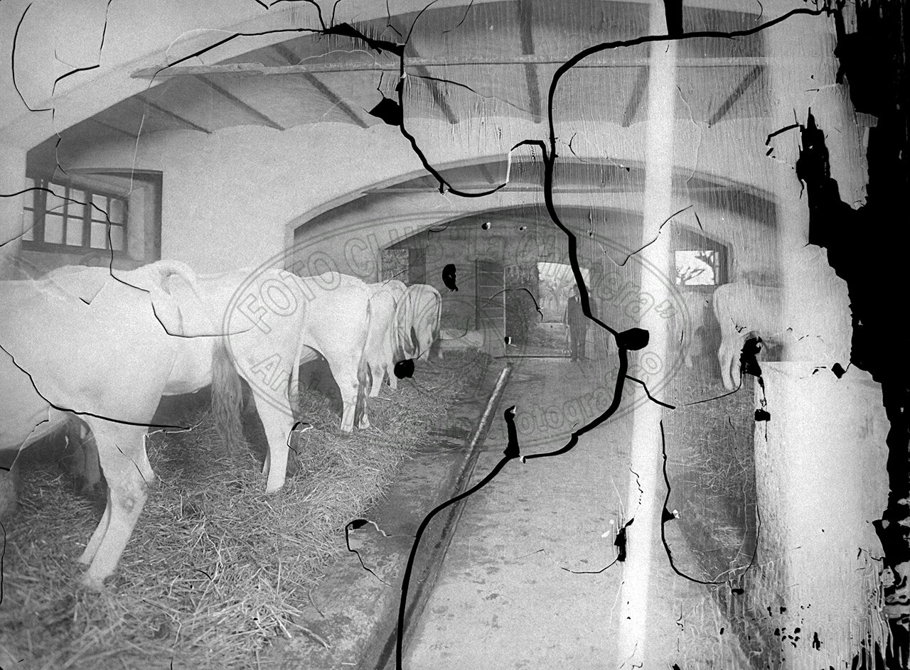 Fattoria Di Vitareta Signor Manganelli