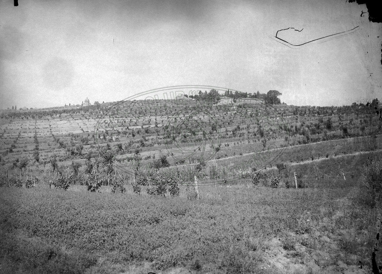 Priva Di Indicazioni
