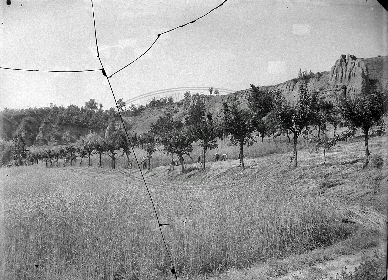 Fattoria Di Vitareta Signor Manganelli