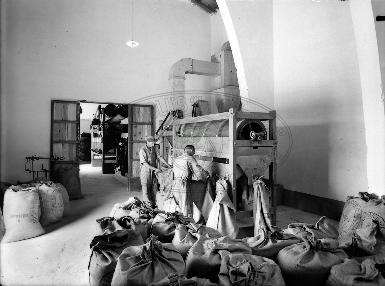 Priva Di Indicazioni