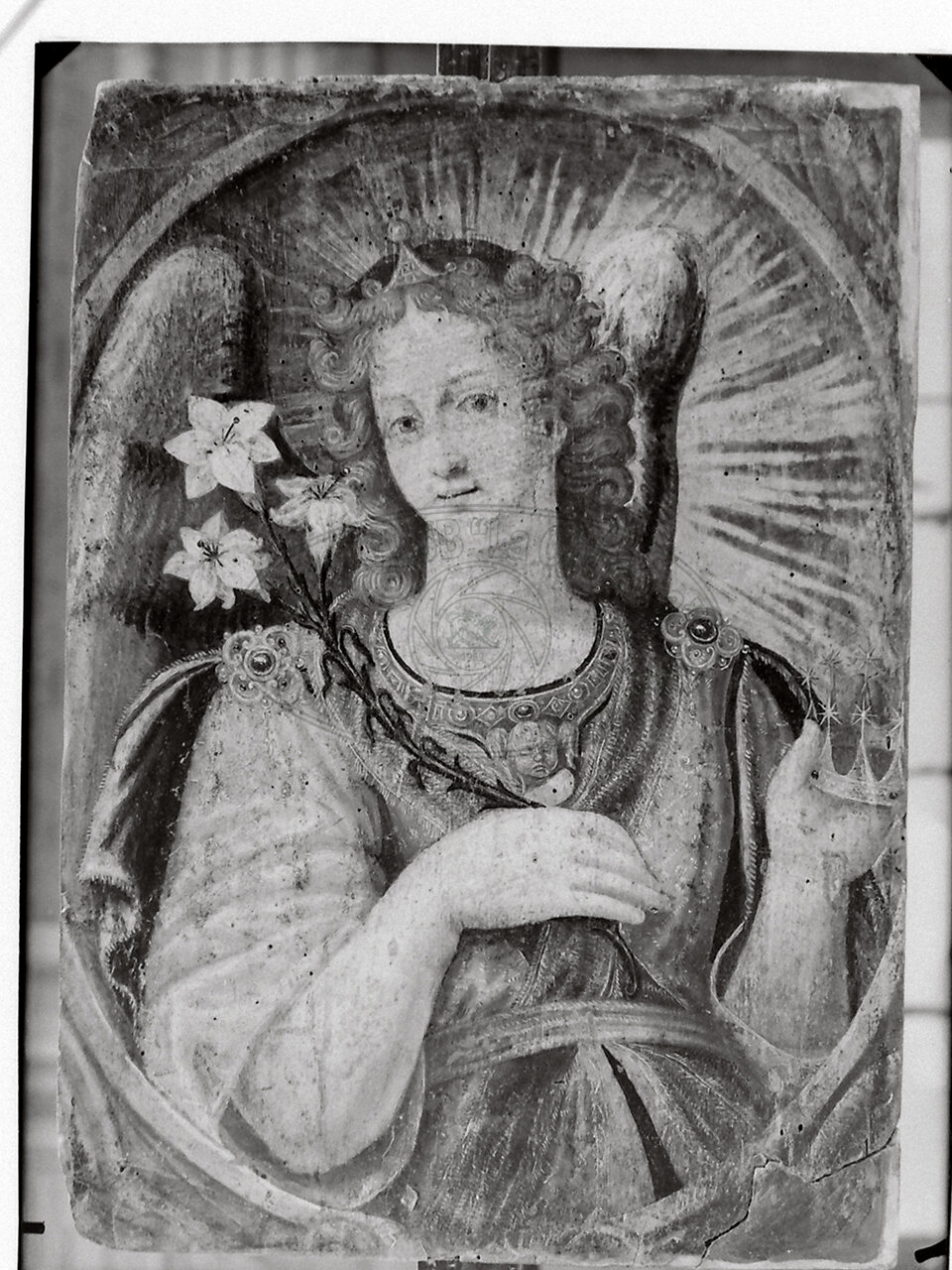 Priva Di Indicazioni