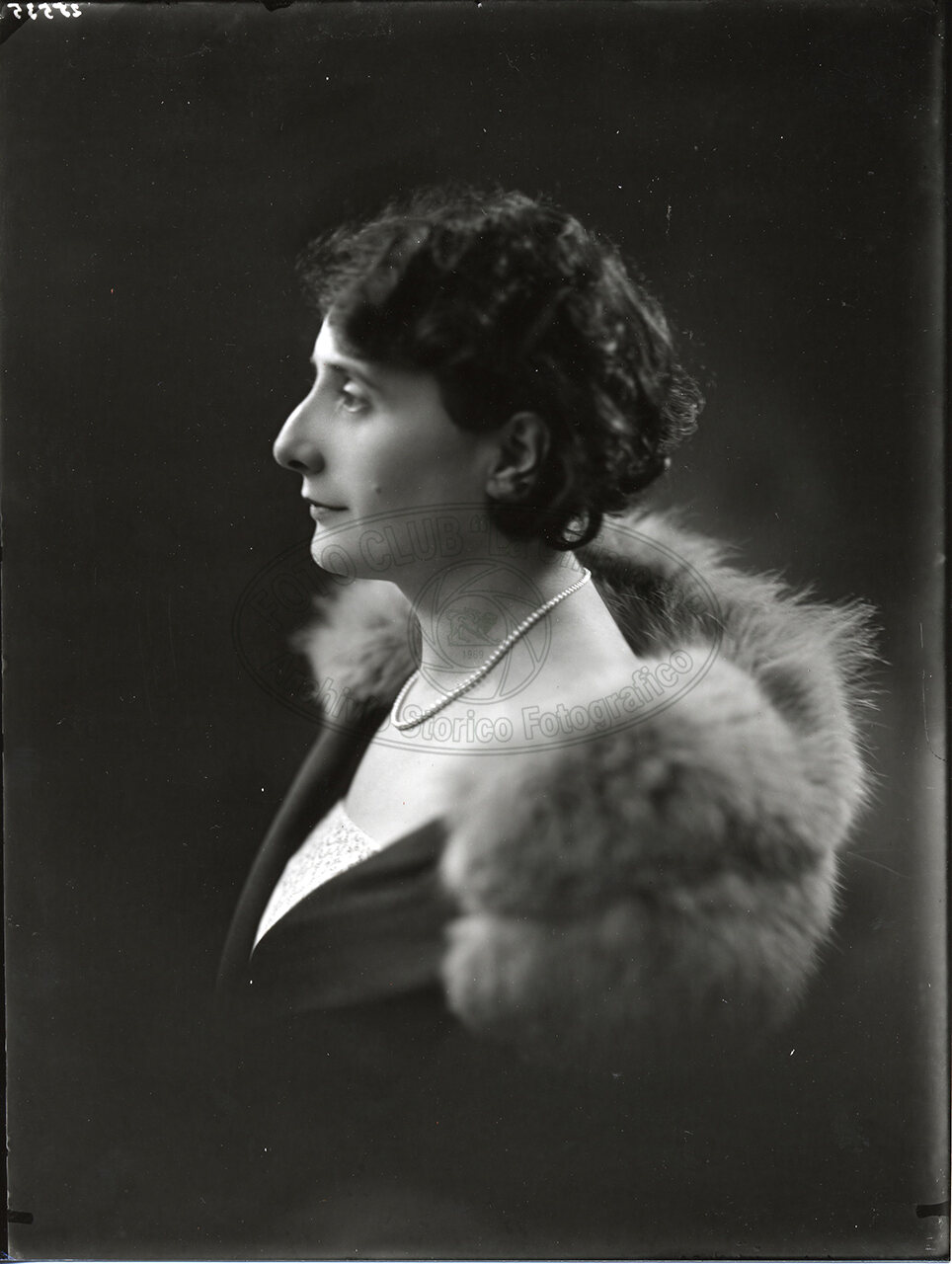 Ritratto Di Donna