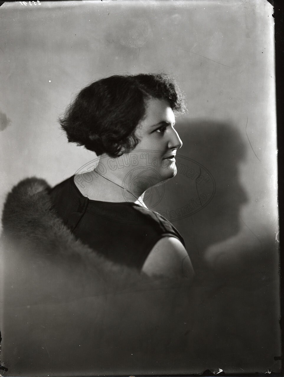 Ritratto Di Donna