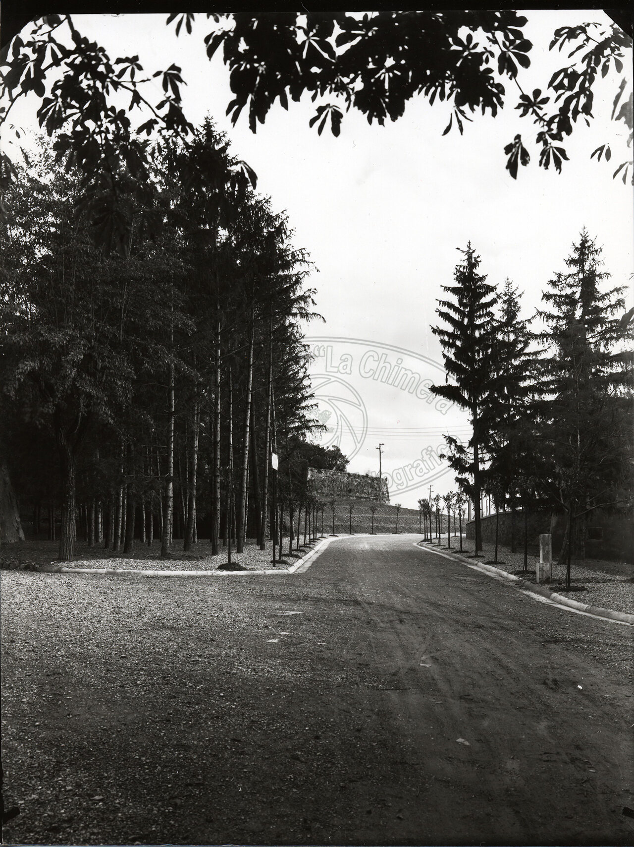 Arezzo Veduta Del Viale Del Re Vista Verso Il Prato