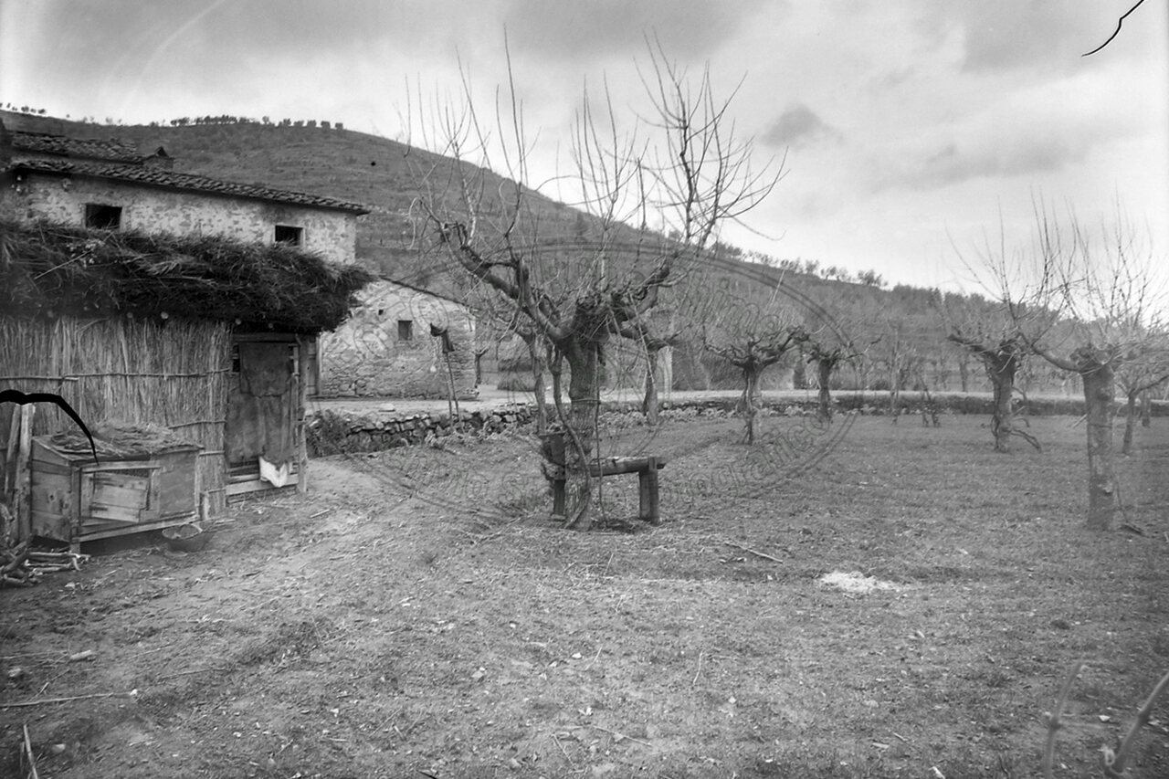 Saia Costruzione Case Popolari