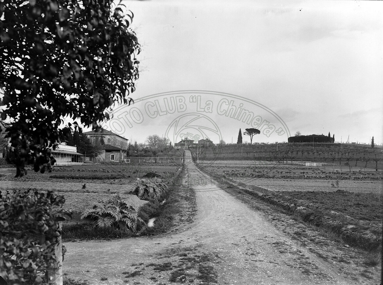 Manicomio Viale