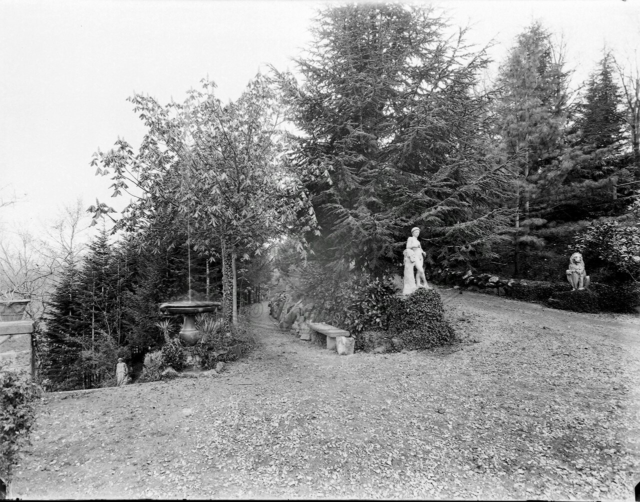 Casentino Archianella Villa Coleschi Parco