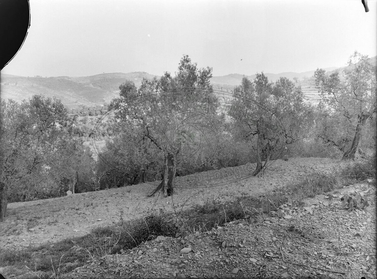 Priva Di Indicazioni