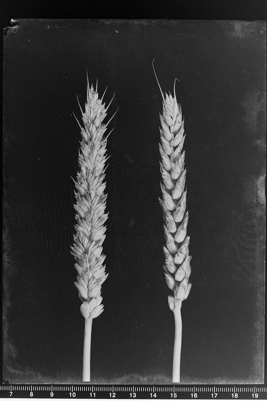 Priva Di Annotazioni
