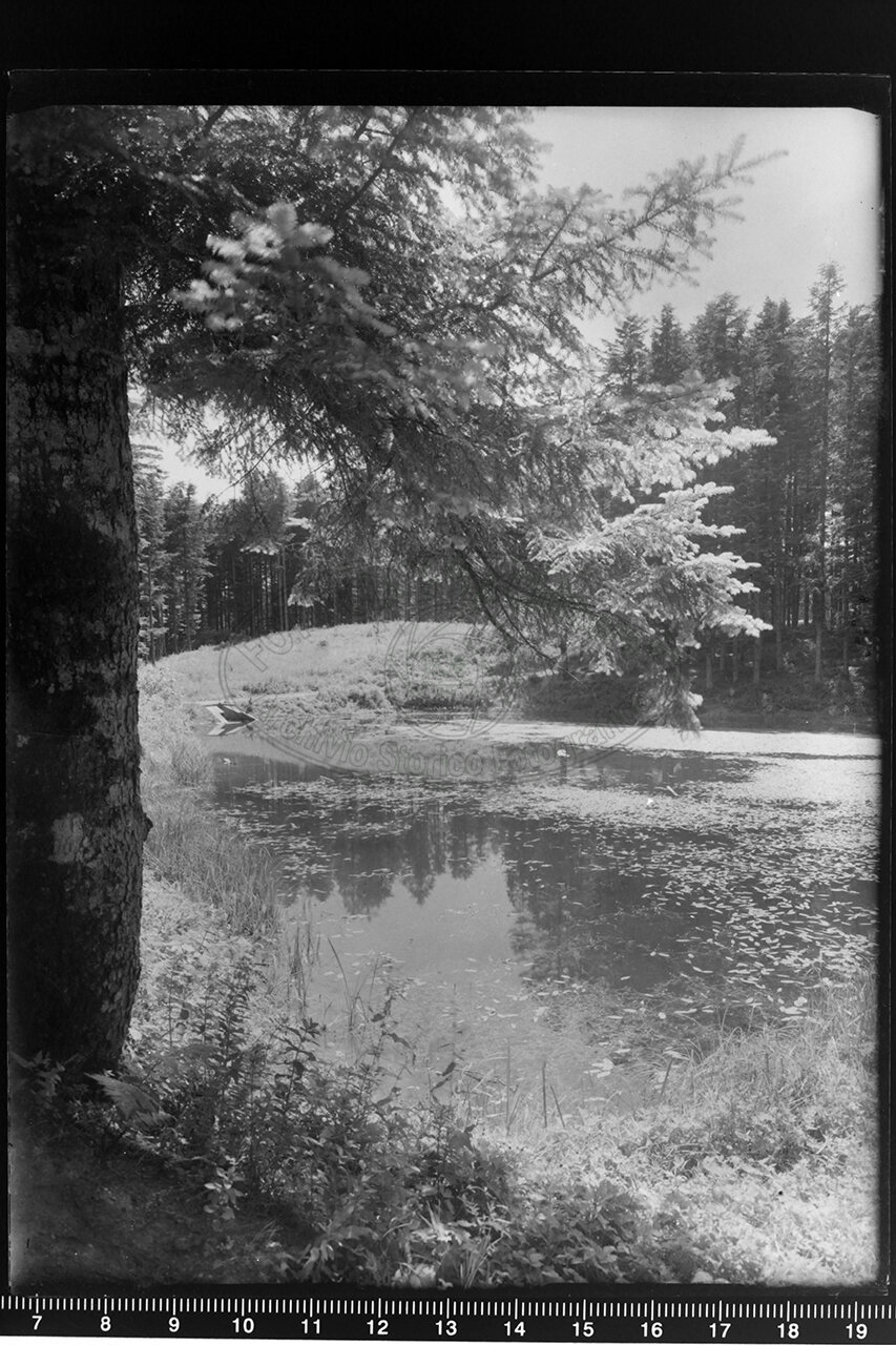 Camaldoli veduta del laghettonell interno della foresta